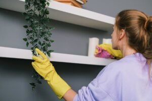 decluttering space. woman cleaning home